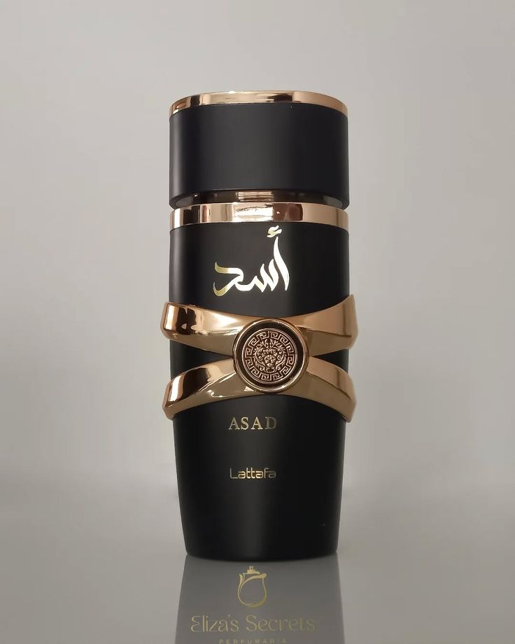 Super Combo com 2 Perfumes Masculinos Importados – 100ml